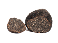 Tartufo nero pregiato - Il Tartufeltro, Tartufi del Montefeltro di alta qualità