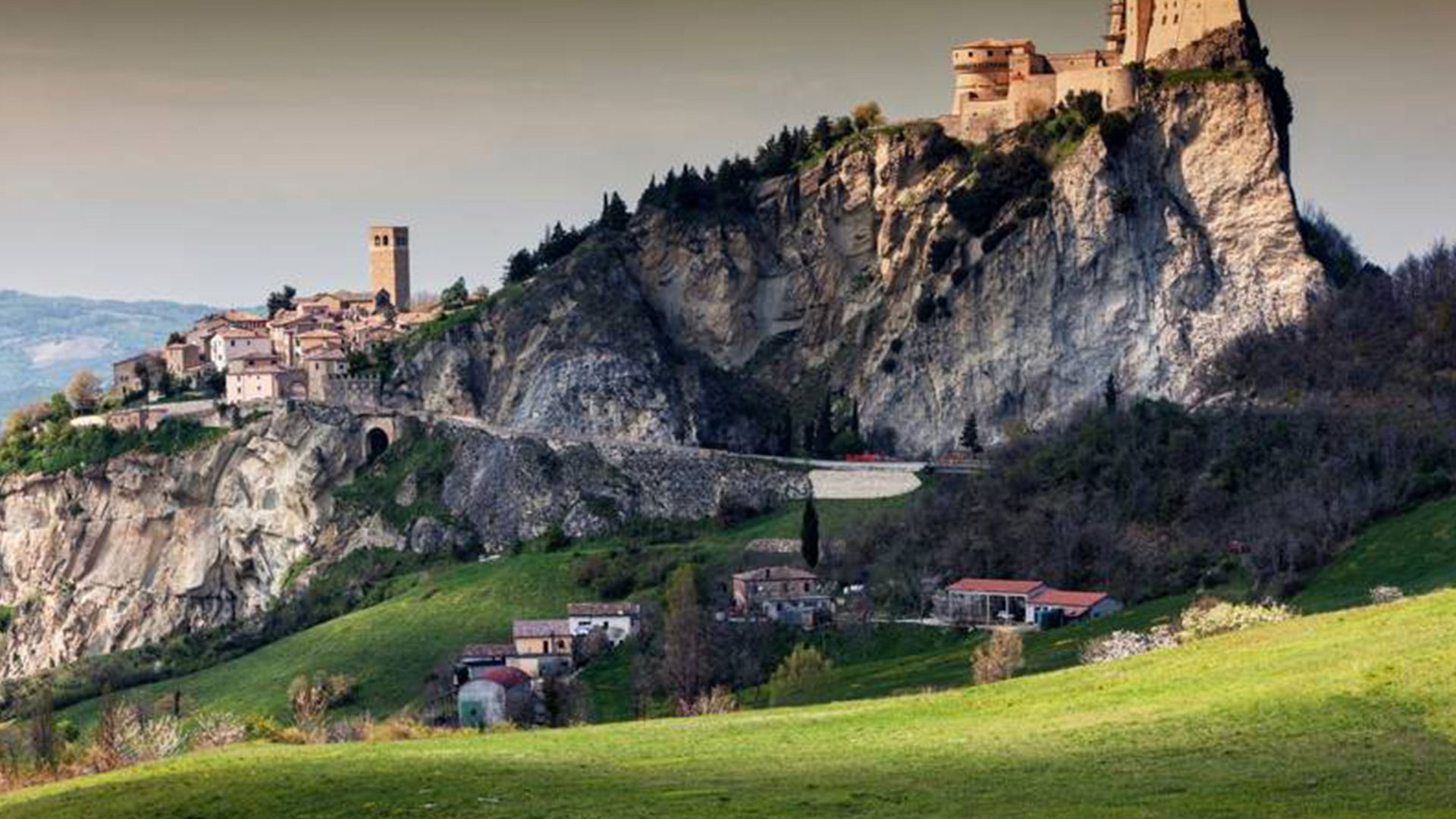 Montefeltro - Il Tartufeltro, Tartufi del Montefeltro di alta qualità