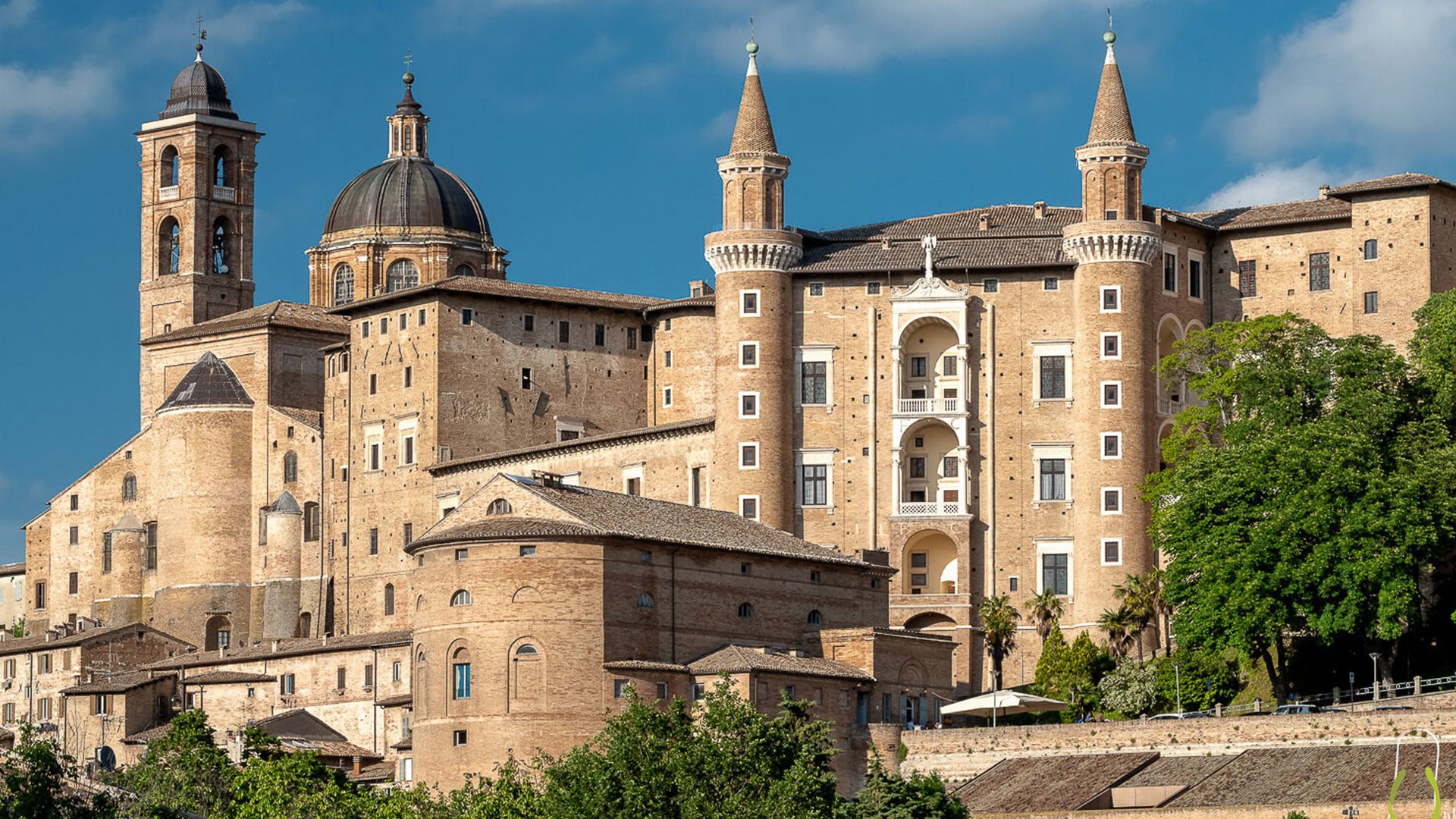 Montefeltro - Il Tartufeltro, Tartufi del Montefeltro di alta qualità